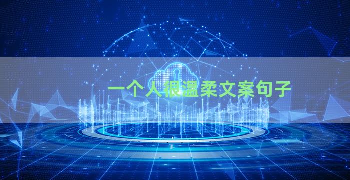 一个人很温柔文案句子