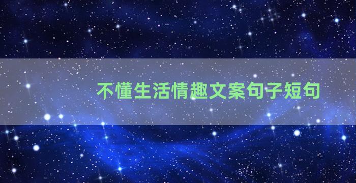 不懂生活情趣文案句子短句