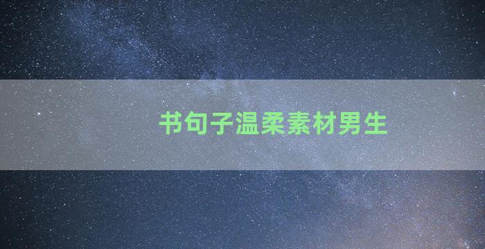 书句子温柔素材男生