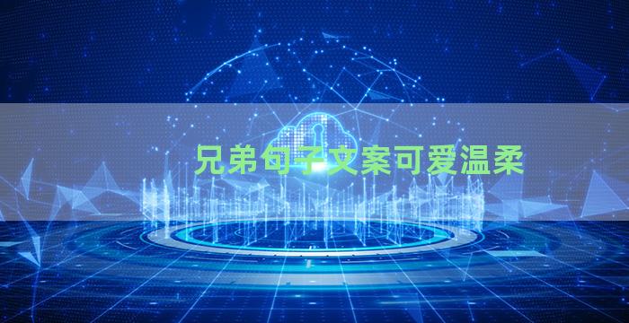 兄弟句子文案可爱温柔