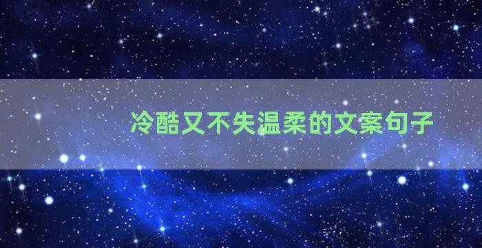 冷酷又不失温柔的文案句子