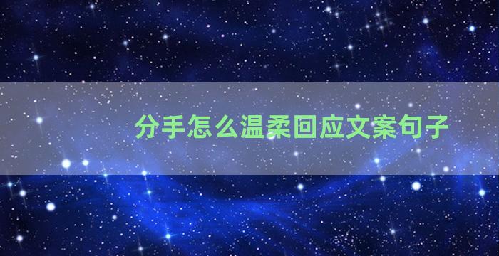 分手怎么温柔回应文案句子