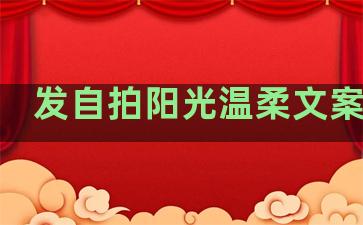 发自拍阳光温柔文案句子