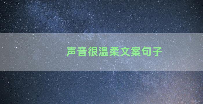 声音很温柔文案句子