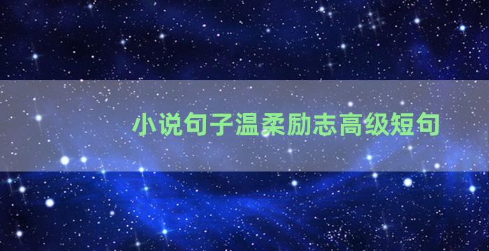 小说句子温柔励志高级短句