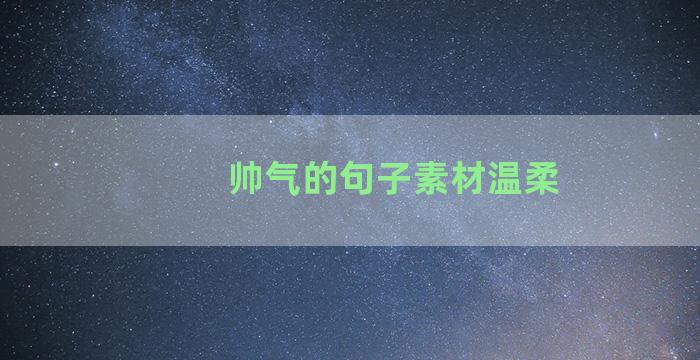 帅气的句子素材温柔