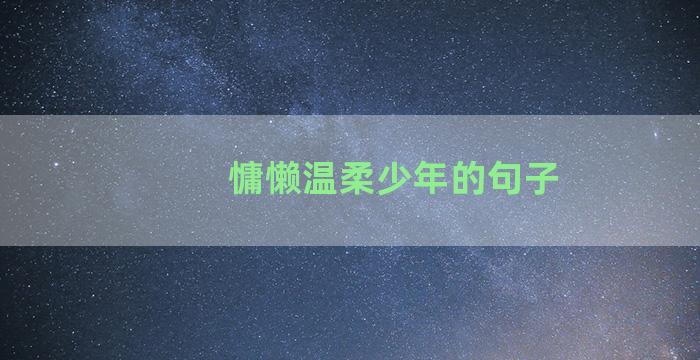 慵懒温柔少年的句子