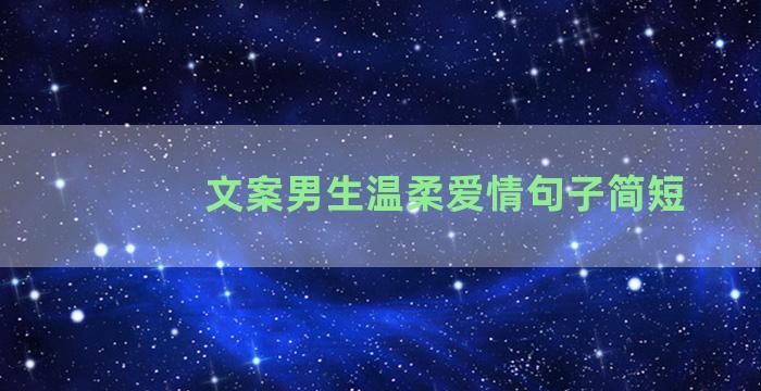 文案男生温柔爱情句子简短