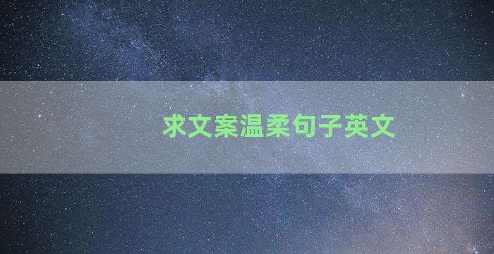 求文案温柔句子英文