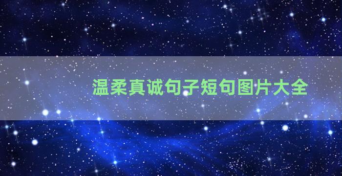 温柔真诚句子短句图片大全