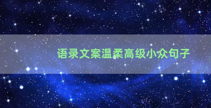 语录文案温柔高级小众句子