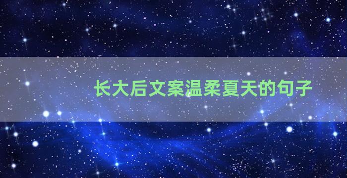 长大后文案温柔夏天的句子