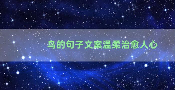 鸟的句子文案温柔治愈人心